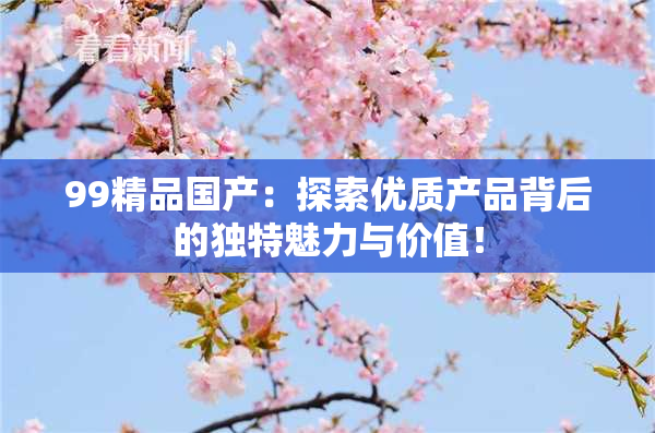 99精品国产：探索优质产品背后的独特魅力与价值！