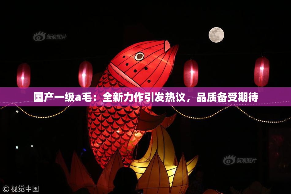 国产一级a毛：全新力作引发热议，品质备受期待