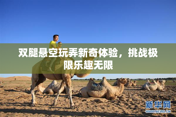双腿悬空玩弄新奇体验，挑战极限乐趣无限