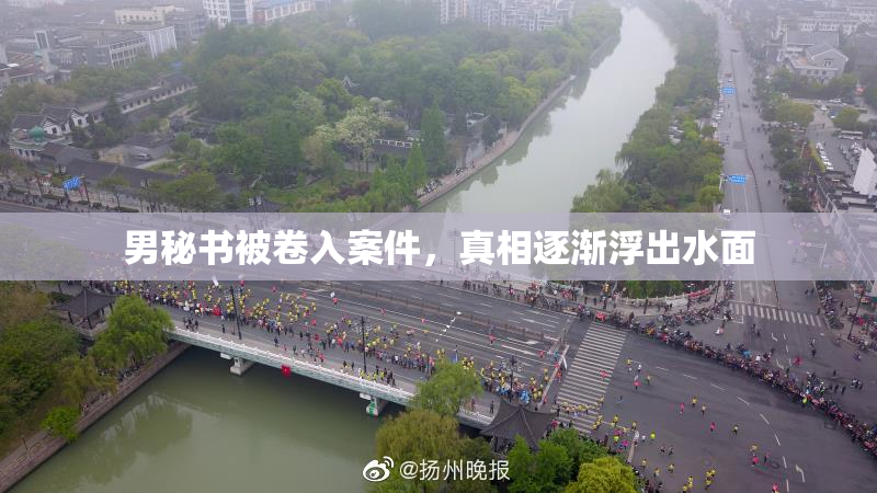 男秘书被卷入案件，真相逐渐浮出水面