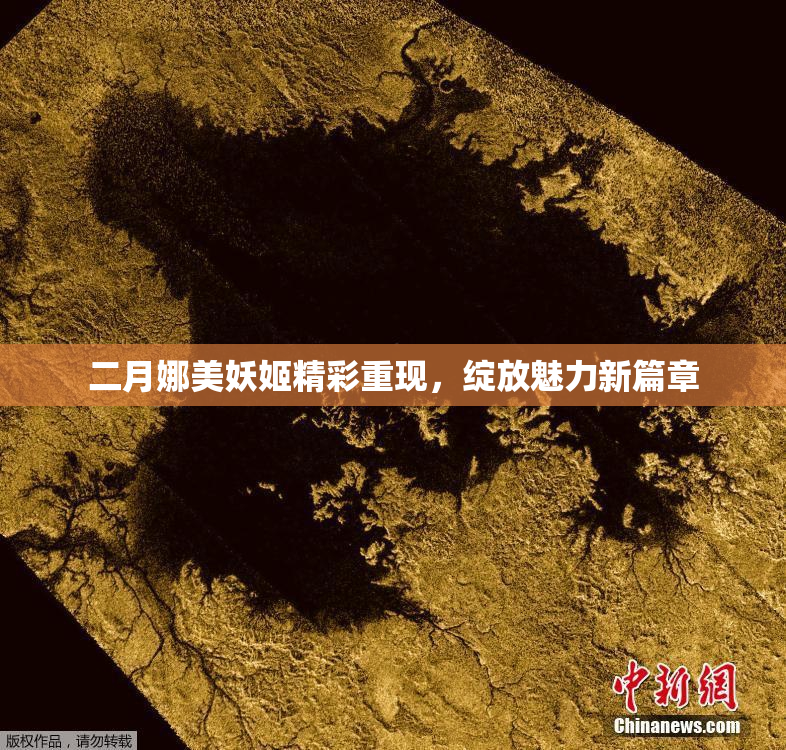 二月娜美妖姬精彩重现，绽放魅力新篇章