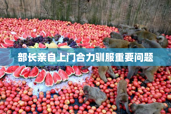部长亲自上门合力驯服重要问题