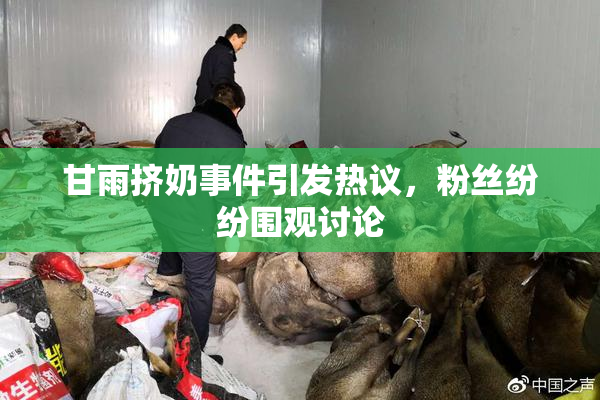 甘雨挤奶事件引发热议，粉丝纷纷围观讨论