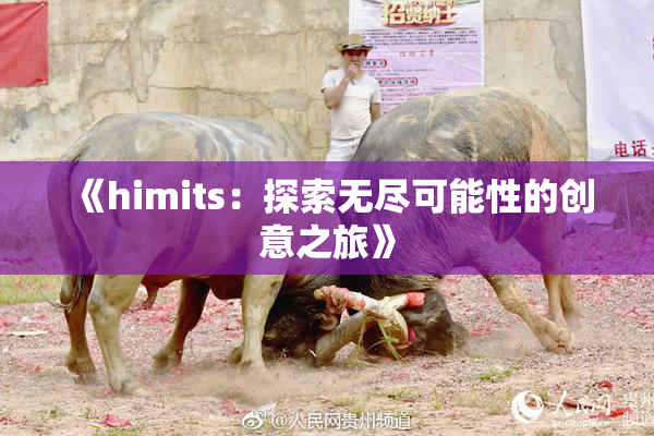 《himits：探索无尽可能性的创意之旅》