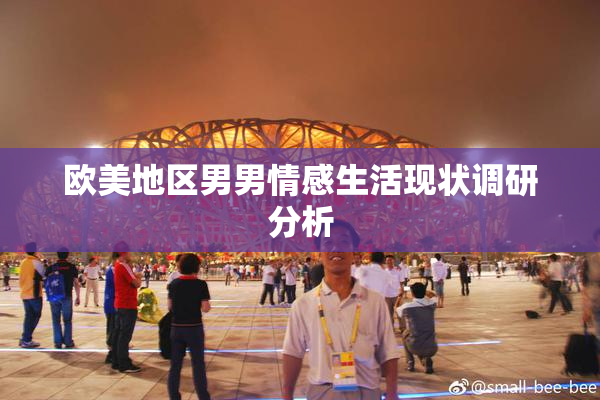 欧美地区男男情感生活现状调研分析