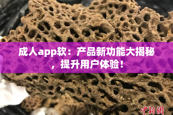 成人app软：产品新功能大揭秘，提升用户体验！