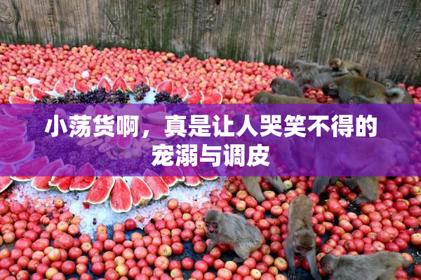 小荡货啊，真是让人哭笑不得的宠溺与调皮