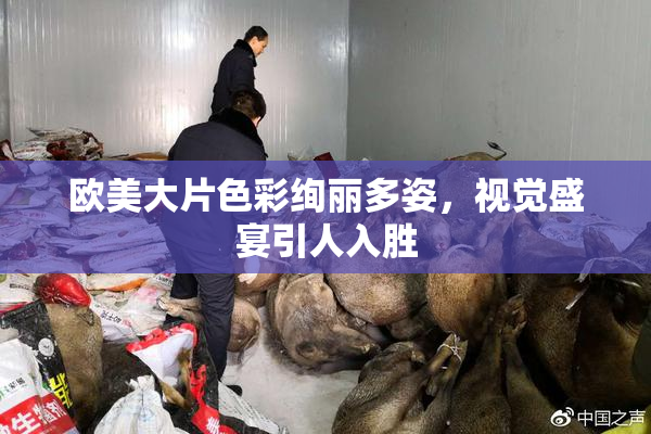 欧美大片色彩绚丽多姿，视觉盛宴引人入胜