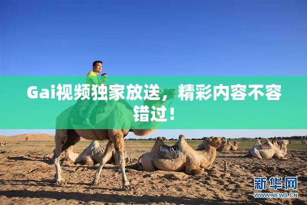 Gai视频独家放送，精彩内容不容错过！