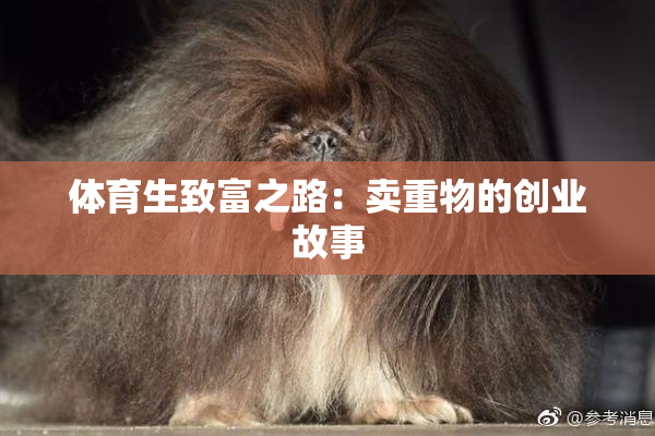 体育生致富之路：卖重物的创业故事