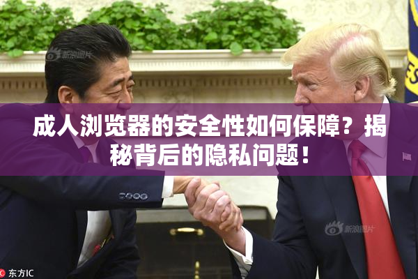 成人浏览器的安全性如何保障？揭秘背后的隐私问题！