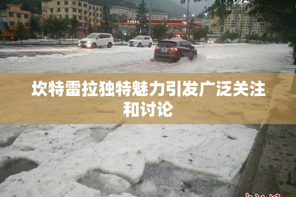坎特雷拉独特魅力引发广泛关注和讨论
