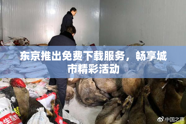 东京推出免费下载服务，畅享城市精彩活动