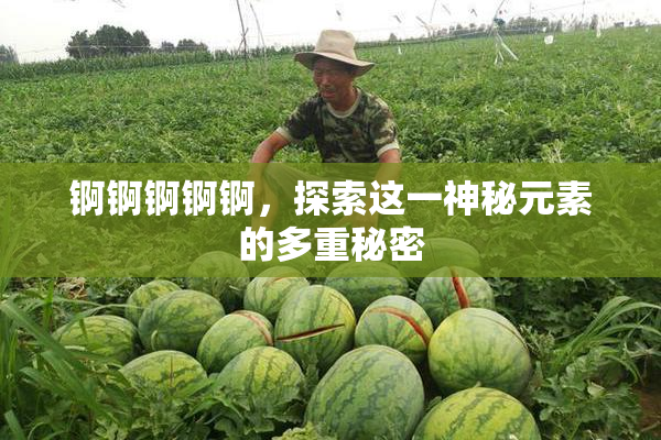 锕锕锕锕锕，探索这一神秘元素的多重秘密