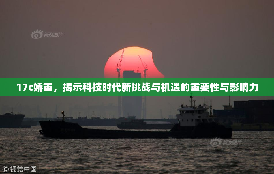 17c娇重，揭示科技时代新挑战与机遇的重要性与影响力