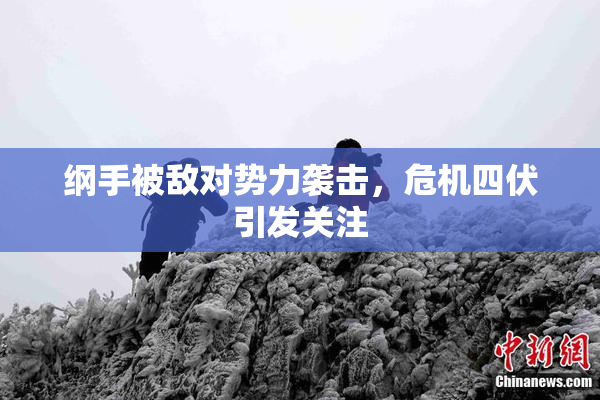 纲手被敌对势力袭击，危机四伏引发关注