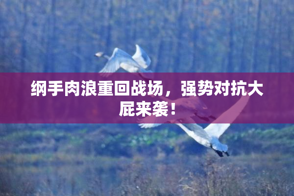 纲手肉浪重回战场，强势对抗大屁来袭！