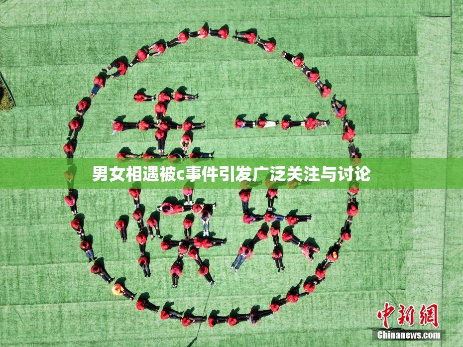 男女相遇被c事件引发广泛关注与讨论