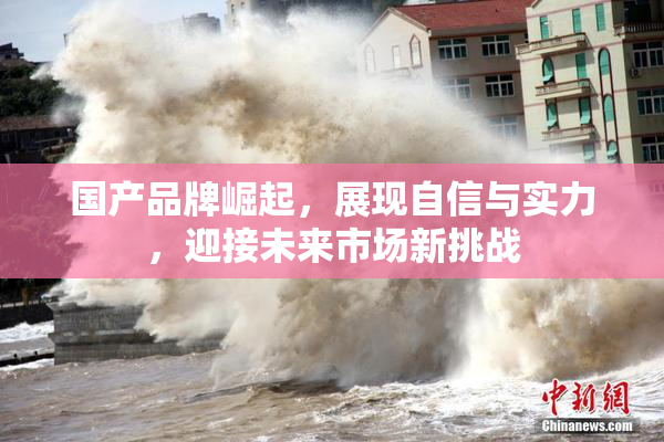 国产品牌崛起，展现自信与实力，迎接未来市场新挑战