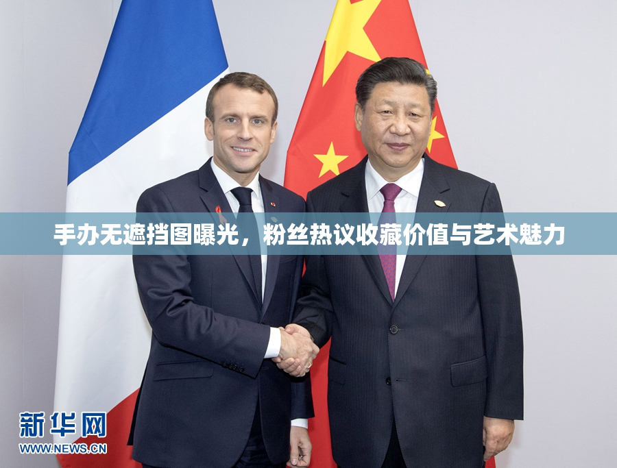 手办无遮挡图曝光，粉丝热议收藏价值与艺术魅力