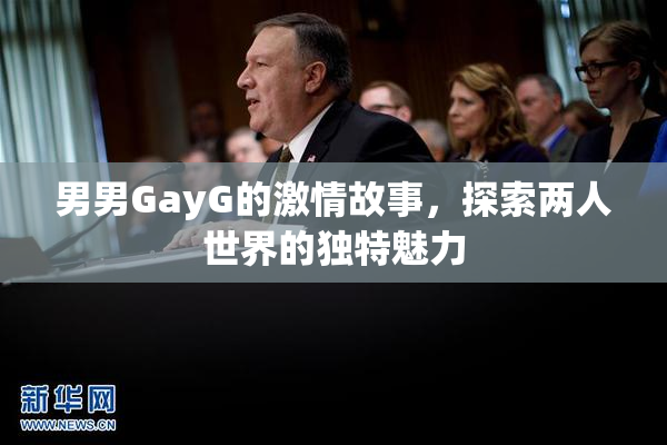 男男GayG的激情故事，探索两人世界的独特魅力