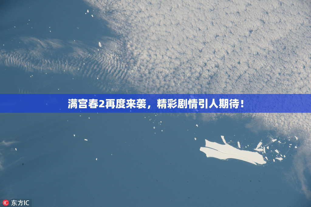 满宫春2再度来袭，精彩剧情引人期待！