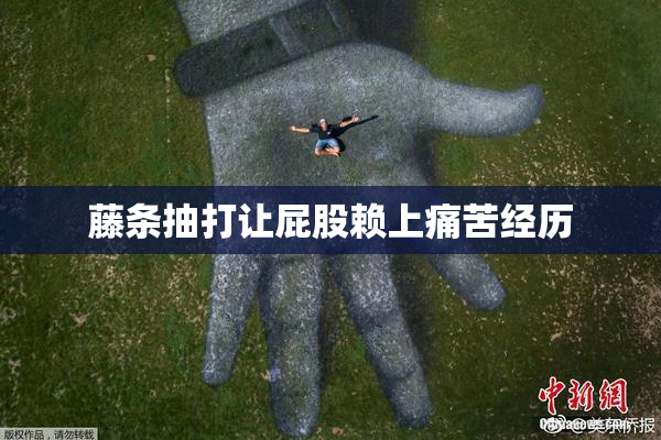 藤条抽打让屁股赖上痛苦经历