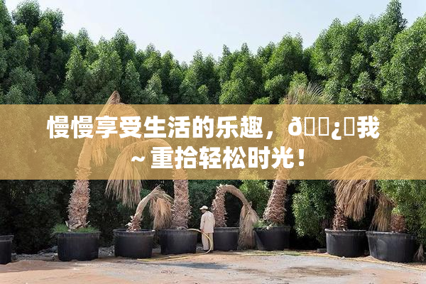 慢慢享受生活的乐趣，🌿‌我～重拾轻松时光！
