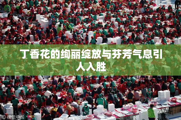 丁香花的绚丽绽放与芬芳气息引人入胜
