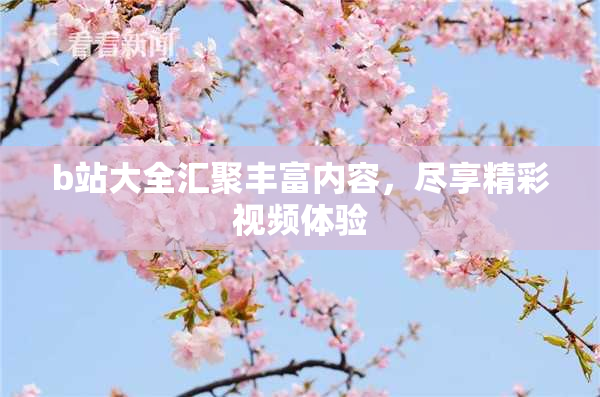 b站大全汇聚丰富内容，尽享精彩视频体验
