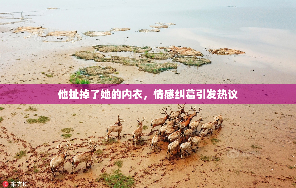 他扯掉了她的内衣，情感纠葛引发热议