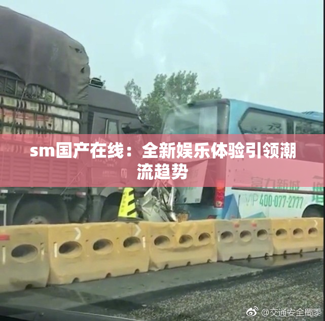 sm国产在线：全新娱乐体验引领潮流趋势