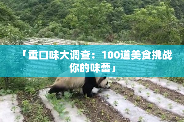 「重口味大调查：100道美食挑战你的味蕾」