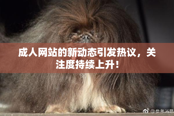 成人网站的新动态引发热议，关注度持续上升！