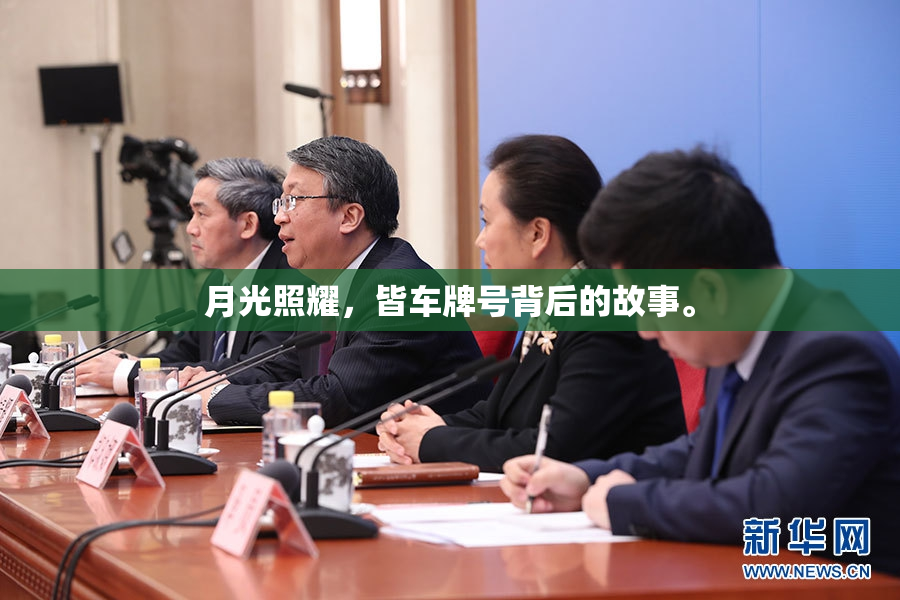 月光照耀，皆车牌号背后的故事。