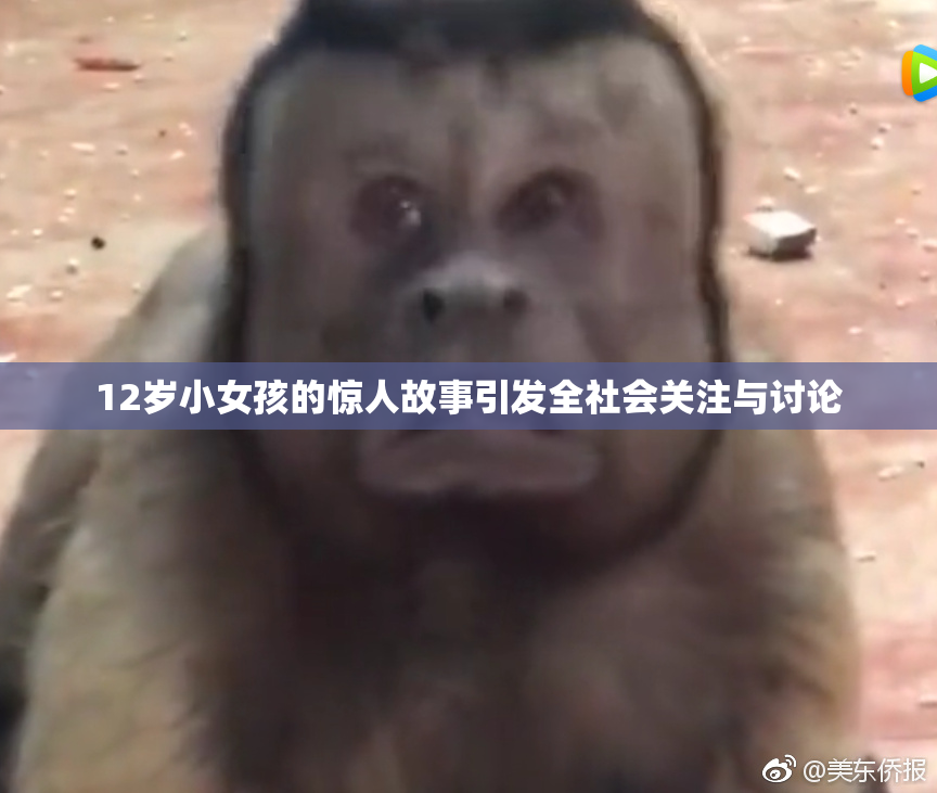 12岁小女孩的惊人故事引发全社会关注与讨论