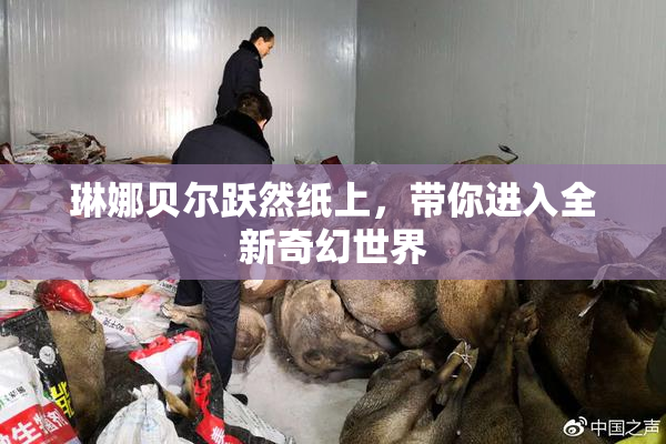 琳娜贝尔跃然纸上，带你进入全新奇幻世界
