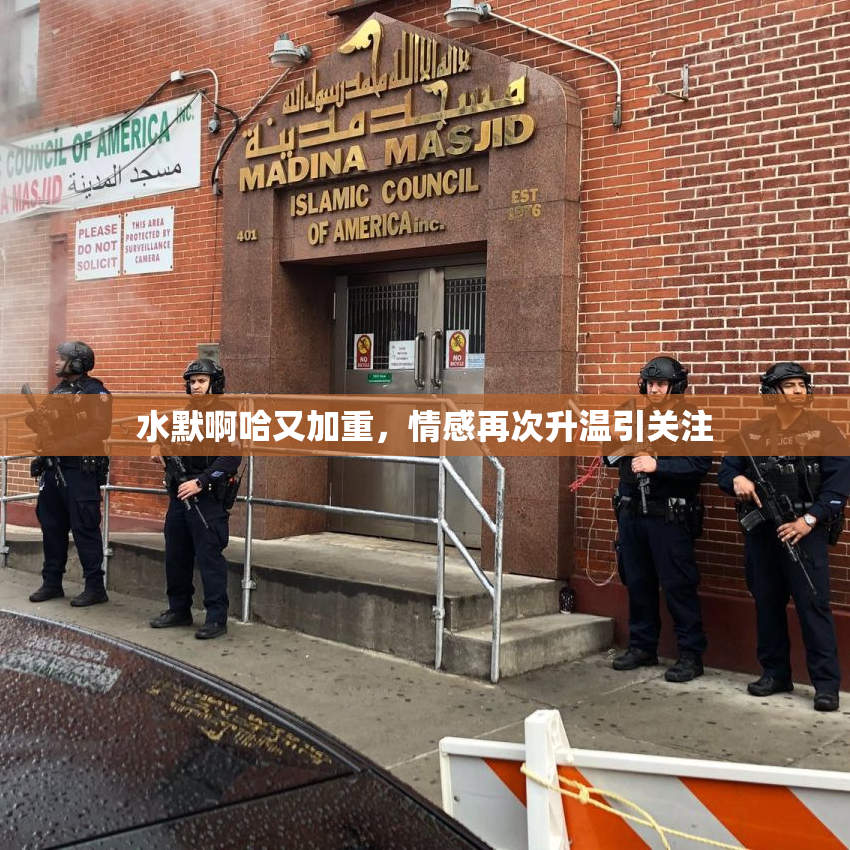 水默啊哈又加重，情感再次升温引关注