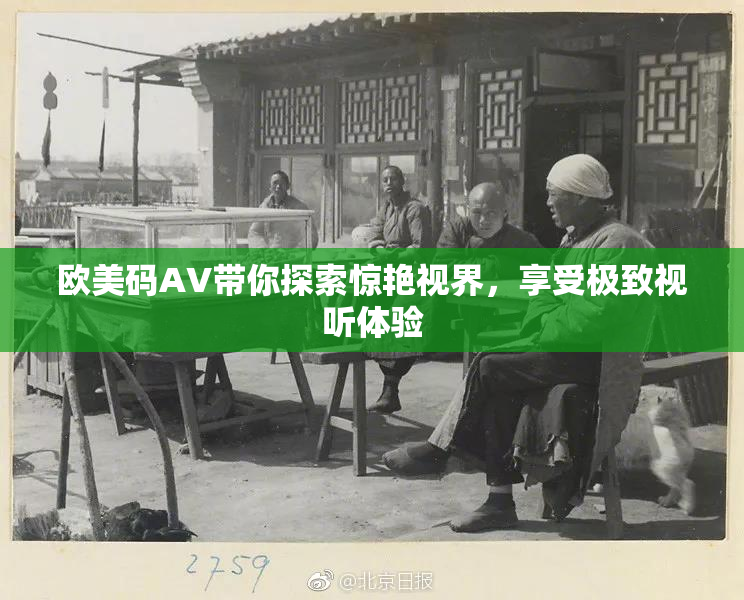 欧美码AV带你探索惊艳视界，享受极致视听体验