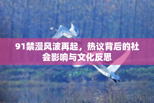 91禁漫风波再起，热议背后的社会影响与文化反思