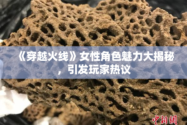 《穿越火线》女性角色魅力大揭秘，引发玩家热议