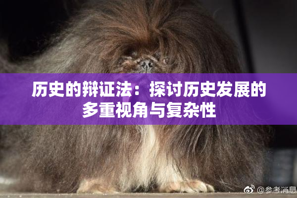 历史的辩证法：探讨历史发展的多重视角与复杂性