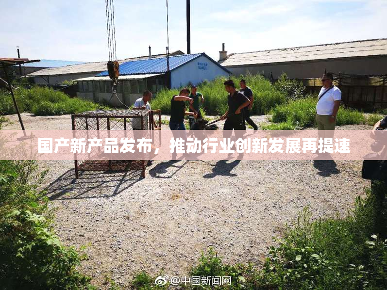 国产新产品发布，推动行业创新发展再提速