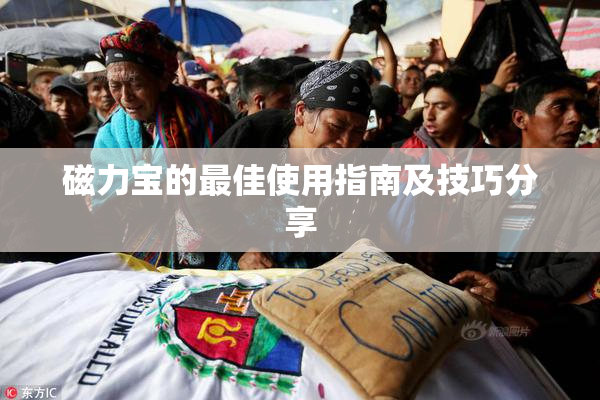 磁力宝的最佳使用指南及技巧分享