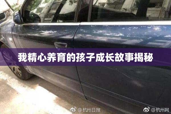 我精心养育的孩子成长故事揭秘