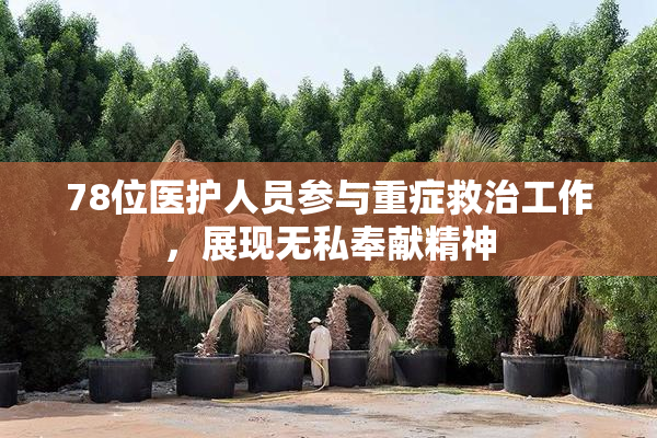 78位医护人员参与重症救治工作，展现无私奉献精神