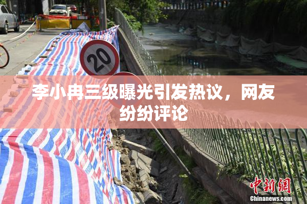 李小冉三级曝光引发热议，网友纷纷评论