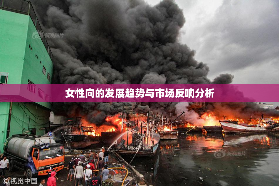 女性向的发展趋势与市场反响分析