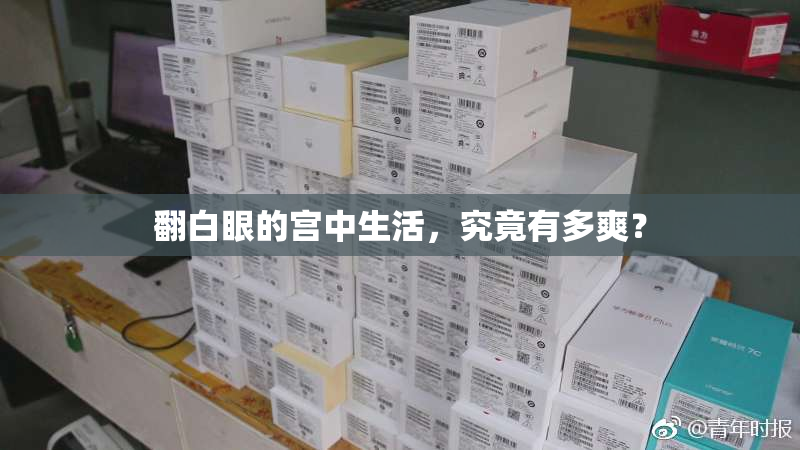 翻白眼的宫中生活，究竟有多爽？