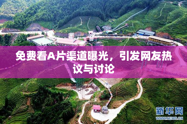 免费看A片渠道曝光，引发网友热议与讨论